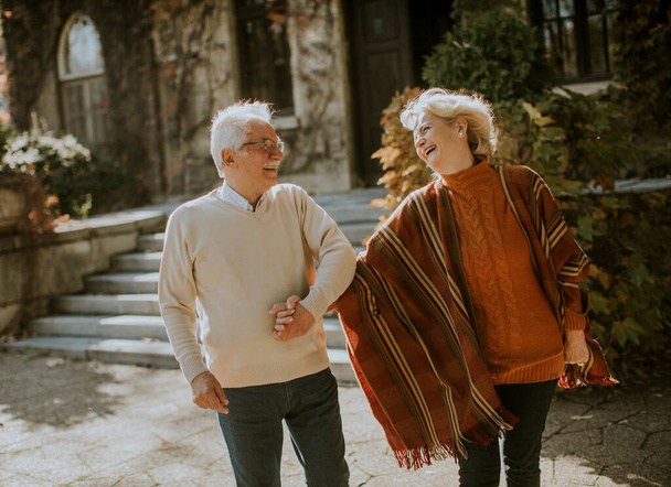 Bella coppia anziana a piedi nel parco autunnale - Foto, immagini