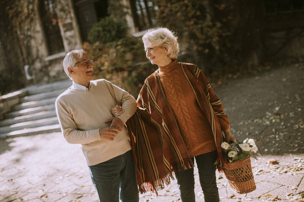 Pohledný starší pár kráčející s košíkem plným květin v podzimním parku - Fotografie, Obrázek