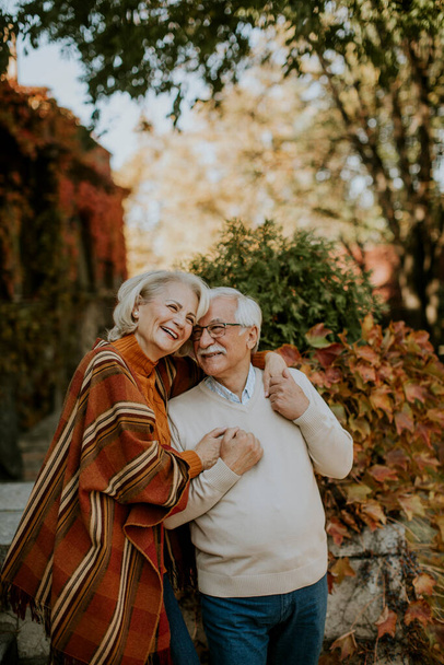Handsome senior couple embracing in autumn park - Foto, imagen