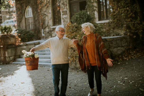 Красивая пожилая пара гуляет с корзиной, полной цветов и продуктов в осеннем парке - Фото, изображение