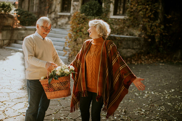 Bonito casal sênior andando com cesta cheia de flores e mantimentos no parque de outono - Foto, Imagem