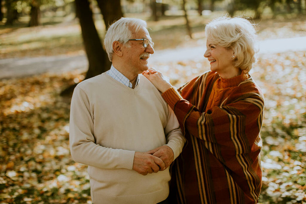 Bello coppia anziana abbracciare in autunno parco - Foto, immagini