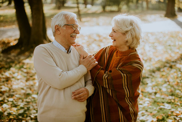 Beau couple de personnes âgées embrassant dans le parc d'automne - Photo, image