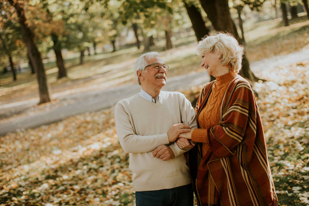 Hermosa pareja de ancianos caminando en el parque de otoño - Foto, Imagen