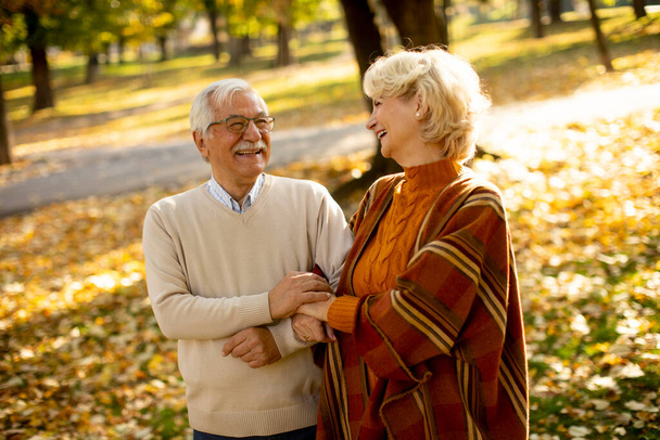 Handsome senior couple walking in autumn park - Photo, Image