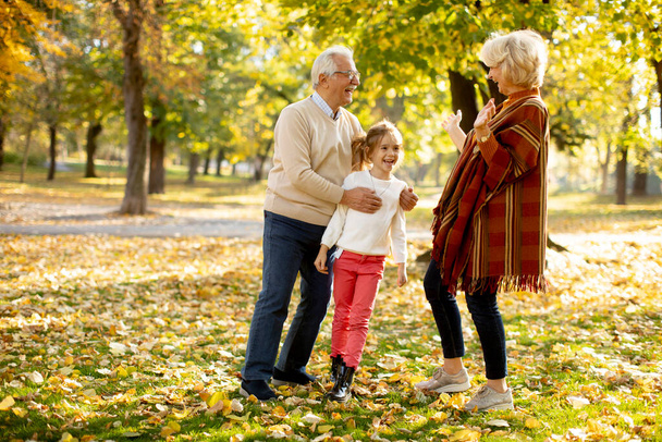 Grandparents enjoying good time with their cute little granddaughter - Photo, image