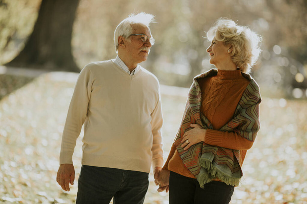 Bella coppia anziana a piedi nel parco autunnale - Foto, immagini