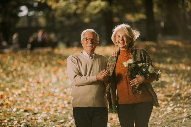Knappe senior paar omarmen met bloem boeket in de herfst park - Foto, afbeelding