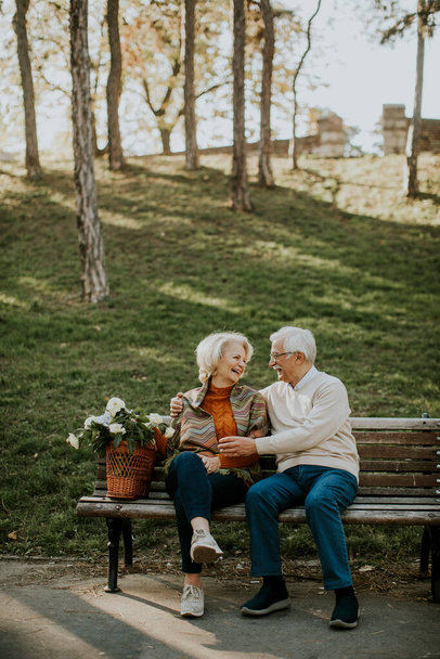 Handsome senior couple sitting on the bench with basket full of flowers and embracing - Photo, Image