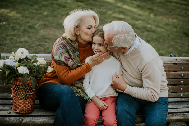 Heathy senior couple sitting on the bench witht heir cute little granddaughter - Photo, Image