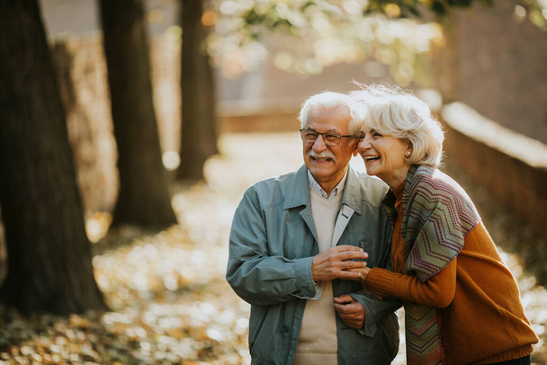 Hermosa pareja de ancianos caminando en el parque de otoño - Foto, Imagen