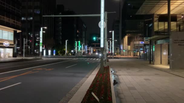 Tokio Nihonbashi Vista nocturna - Imágenes, Vídeo