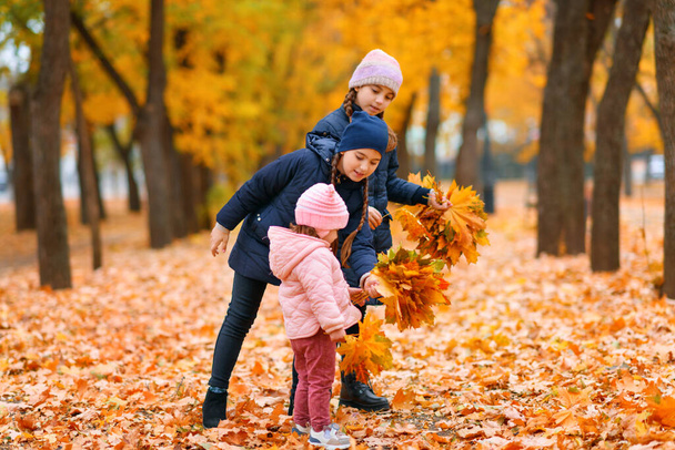 Chicas jugando en el parque de otoño de la ciudad. Dos niños juegan con hojas de arce amarillo. Temporada de otoño, hermosa naturaleza con árboles amarillos. - Foto, imagen