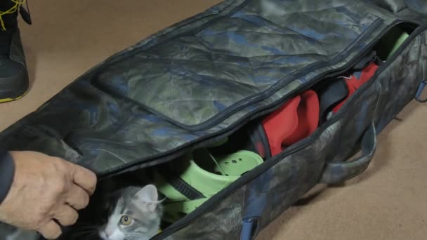 Un gato se sienta en una bolsa con equipo de snowboard y no me deja cerrarla.. - Imágenes, Vídeo