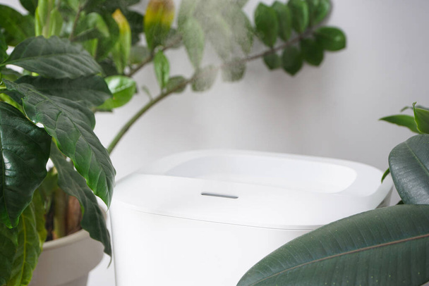Modern humidifier and houseplant against color background, closeup. - Φωτογραφία, εικόνα