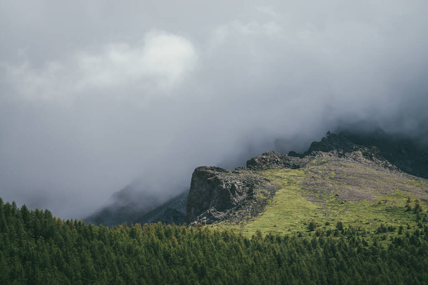 Atmospheric mountain landscape with great rocks in gray cloudy sky. Awesome overcast scenery with low clouds on rocky cliff and pointed rocks above green forest. Beautiful rocky mountains in clouds. - Foto, Imagem
