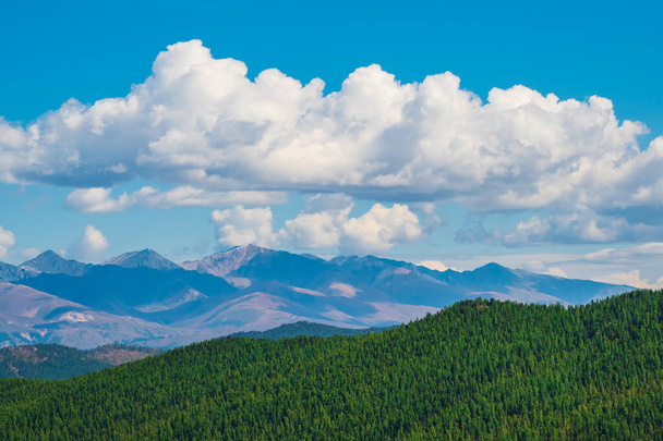 Φωτεινό φυσικό υπόβαθρο με πράσινο δάσος, γαλάζιο ουρανό και λευκά σύννεφα πάνω από τις πλαγιές των βουνών. - Φωτογραφία, εικόνα