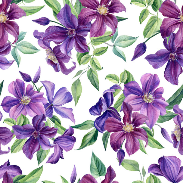 Purple flowers design. Clematis, leaves and bud watercolor hand drawing, seamless pattern. Wild flowering herbs  - Фото, изображение