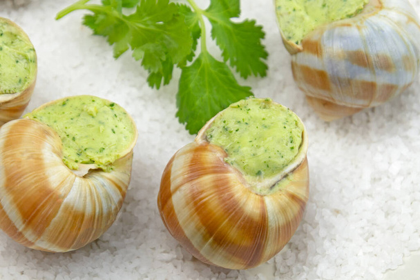 fresh baked snails with parsley and garlic butter on plate - Fotografie, Obrázek