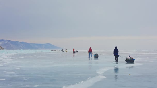 Ряд туристов с оборудованными санями перемещается по замерзшему льду. Зимний пеший поход - Кадры, видео