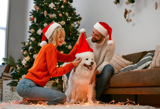 Feliz Navidad y Feliz Año Nuevo! Feliz pareja con perro está esperando el Año Nuevo juntos en los sombreros de Santa Claus mientras se sienta cerca de hermoso árbol de Navidad en casa. - Foto, Imagen
