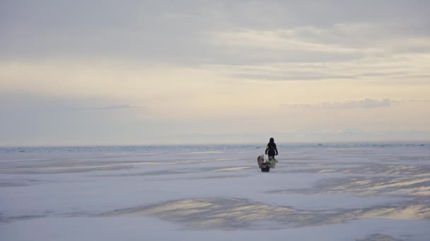 L'uomo con cane da slitta cammina verso l'orizzonte nebbioso attraverso la tempesta di neve sul ghiaccio ghiacciato - Filmati, video