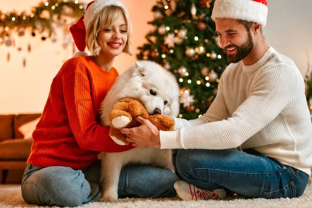 Vrolijk Kerstfeest en Gelukkig Nieuwjaar! Een schattige vrouw zit in de buurt van een mooie kerstboom thuis en knuffelt een witte pluizige hond in een kerstmuts, wachten op de vakantie. - Foto, afbeelding