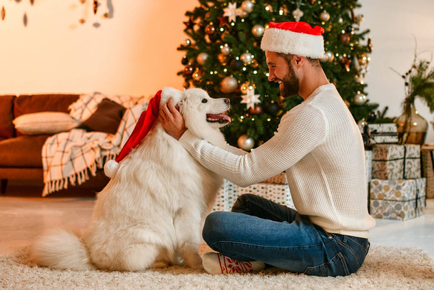 Joyeux Noël et bonne année ! Une jolie femme est assise près d'un beau sapin de Noël à la maison et embrasse un chien moelleux blanc dans un chapeau de Père Noël, attendant les vacances. - Photo, image