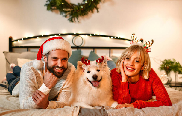 Wesołych Świąt i Szczęśliwego Nowego Roku! Słodka kobieta siedzi w pobliżu pięknej choinki w domu i przytula białego puszystego psa w kapeluszu Mikołaja, czekając na wakacje. - Zdjęcie, obraz