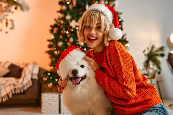 Merry Christmas and Happy New Year! A cute woman sits near a beautiful Christmas tree at home and hugs a white fluffy dog in a Santa hat, waiting for the holiday. - Photo, Image