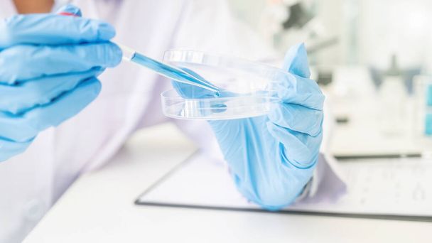 Wissenschaftler lassen eine Probe mit Tropfer im pharmazeutischen Forschungslabor in eine Petrischale fallen. Innovationskonzept. - Foto, Bild
