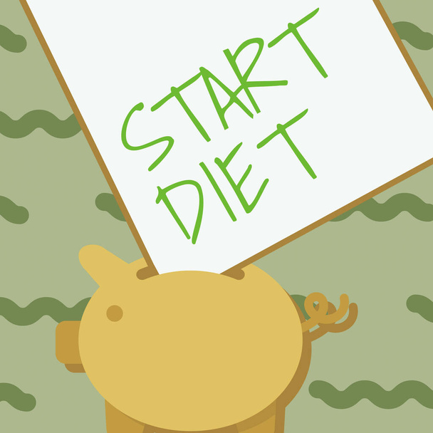 Konzeptionelle Anzeige Start Diet. Geschäftsübersicht Spezialgerichte, auf die man sich beschränkt Sparschwein-Zeichnung mit großem Blatt Papier, das im Loch steckt. - Foto, Bild