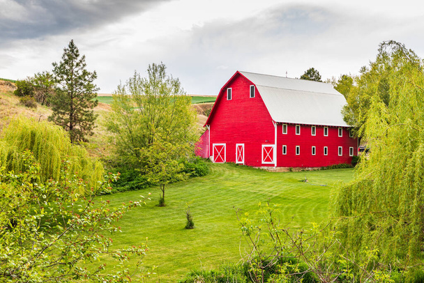 Colfax, Washington, USA. May 22, 2021. A red barn on a farm in the Palouse hills. Editorial Use Only - Photo, image
