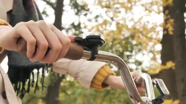 Woman hands on handlebar riding bicycle in autumn park - Footage, Video