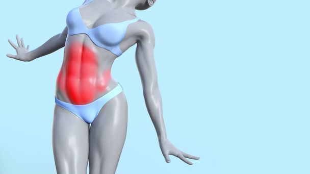 3d render illustration of female figure standing with infammated abs on blue background. - Photo, Image