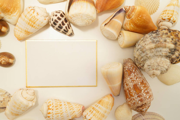 Scattered seashell (with text space). Shooting Location: Kamakura City, Kanagawa Prefecture - Foto, Bild