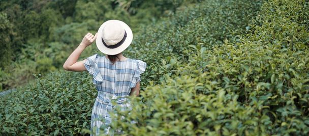 Mavi elbiseli ve şapkalı mutlu kadın turist güzel çay bahçesinin tadını çıkarıyor. Sabah yeşil doğal tepeleri gezen bir gezgin. seyahat, tatil, seyahat ve seyahat kavramı - Fotoğraf, Görsel