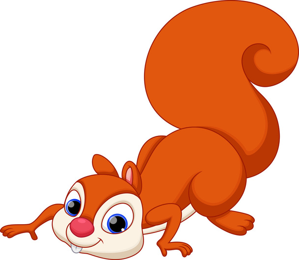 Squirrel cartoon - Vektör, Görsel