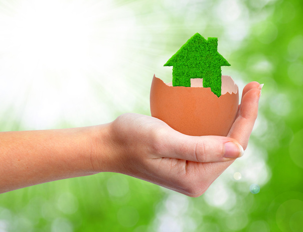 Casa verde em casca de ovo
 - Foto, Imagem