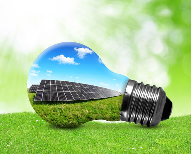 Solar panels in light bulb - Photo, Image