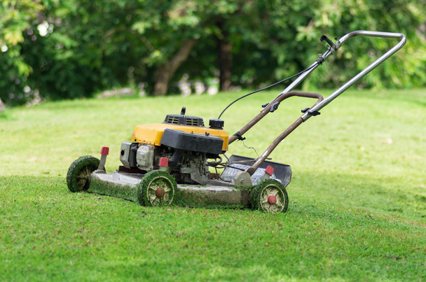 lawn mower - Photo, Image