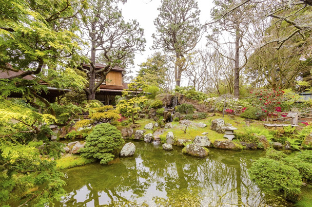 Japon çay Bahçesi, san francisco - Fotoğraf, Görsel