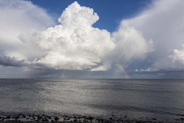 バルト海上の積雲 - 写真・画像