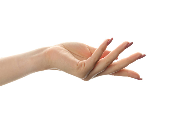Όμορφα Γυναικεία χέρι που απομονώνονται σε λευκό φόντο - Φωτογραφία, εικόνα