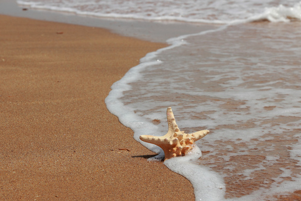 textura de areia do mar
 - Foto, Imagem