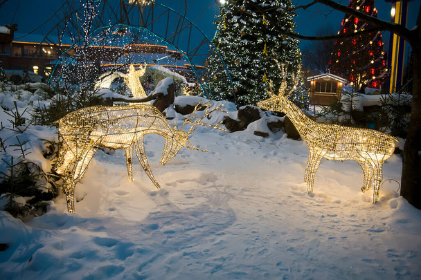 Panorama de una noche de invierno en el parque de la ciudad, iluminado por las luces de la calle de la noche, antes de Navidad, Año Nuevo. Calles nevadas. Árboles decorados con luces. Las decoraciones navideñas de la ciudad son ciervos, un ángel de cuerpo entero hecho de bombillas y luces. Riga. - Foto, imagen