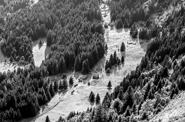 View of the mountain valley from above. Coniferous forest, houses in a meadow, a path near the huts, a power line in a monochrome mountain landscape. Vector illustration. - Vector, Image