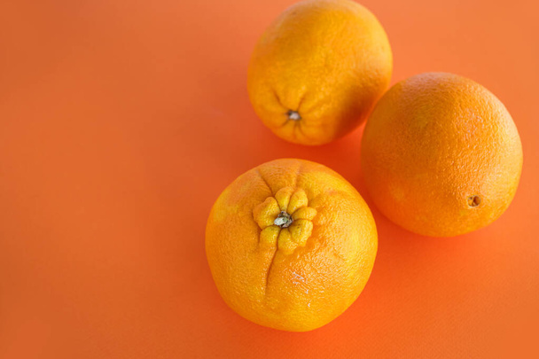 Three large ripe oranges with rough peel on an orange background. Selective focus. Close-up.Top view. Copy space for text. Minimalism.  - Fotografie, Obrázek