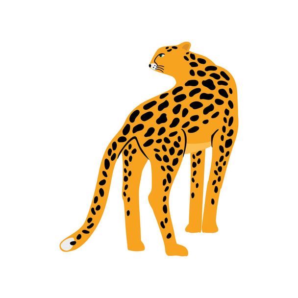 Caricatura de leopardo guepardo africano aislado sobre fondo blanco, diseño de pegatina - Vector, Imagen