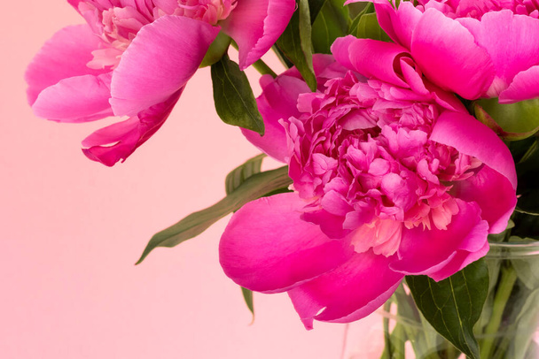 Ramo de peonías rosadas sobre fondo rosa con espacio para copiar. Diseño de tarjetas florales. Enfoque selectivo - Foto, imagen